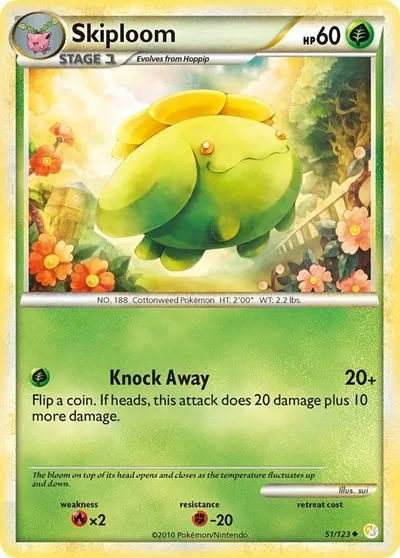 Skiploom 