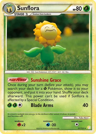 Sunflora 
