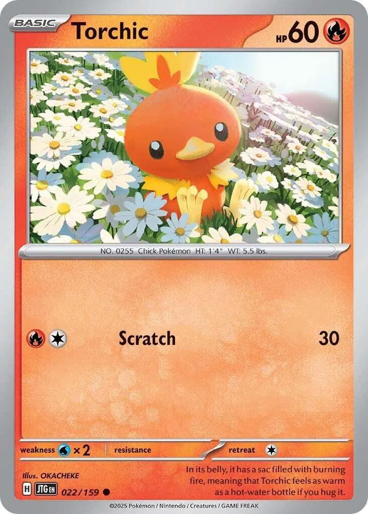 Torchic 