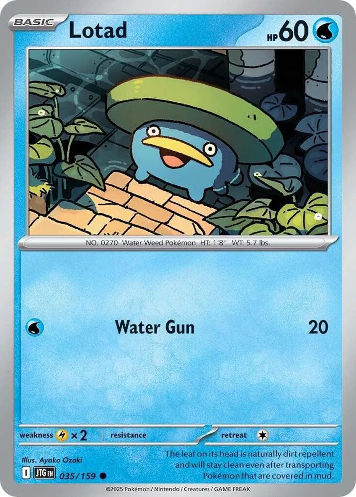 Lotad 