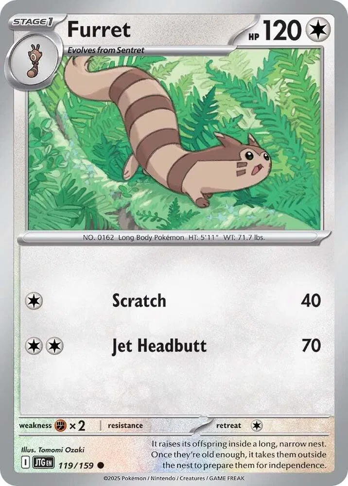 Furret 