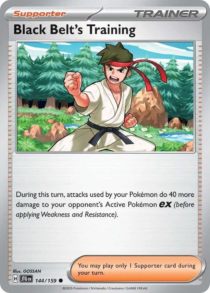 Black Belt's Training 
