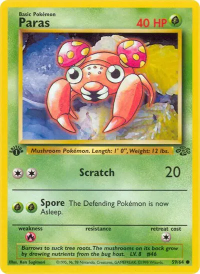 Paras 