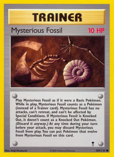 Mysterious Fossil 