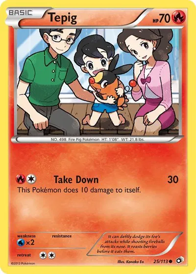 Tepig 
