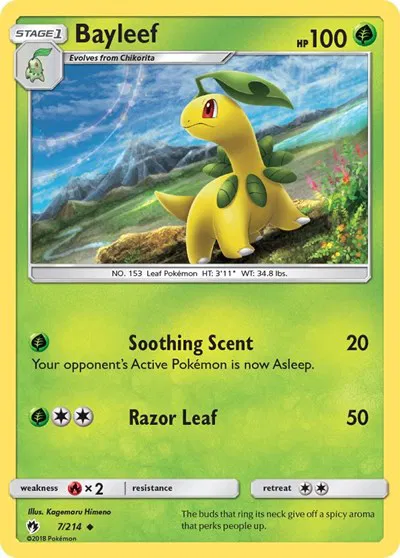 Bayleef 