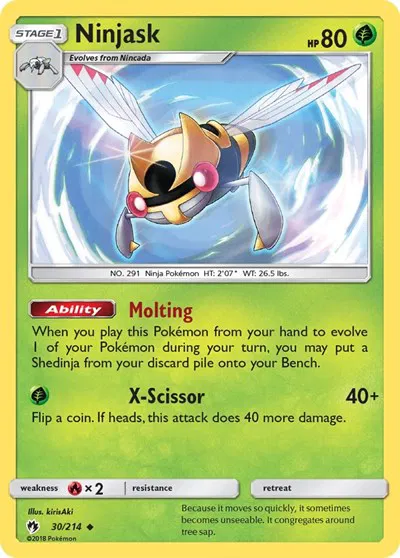 Ninjask 
