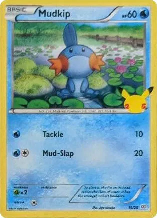 Mudkip 
