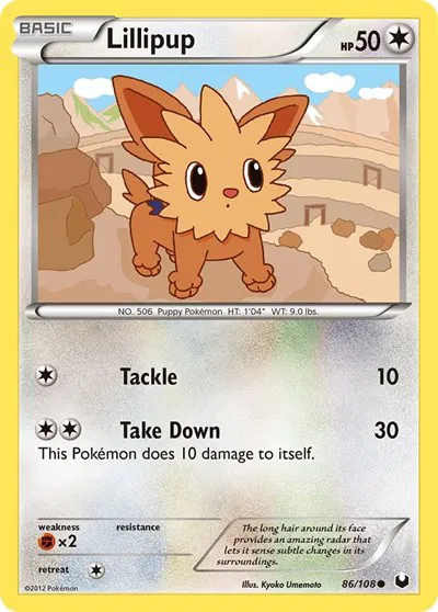 Lillipup 
