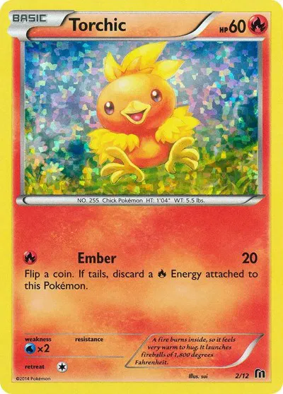 Torchic 