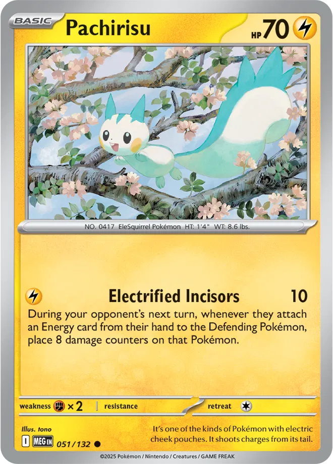Pachirisu 