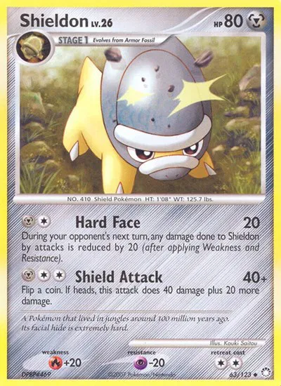 Shieldon 