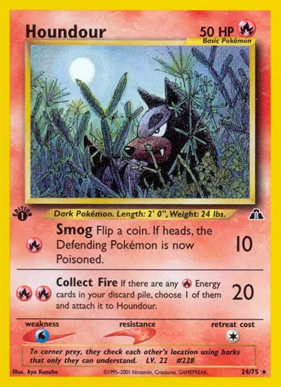 Houndour (24) 
