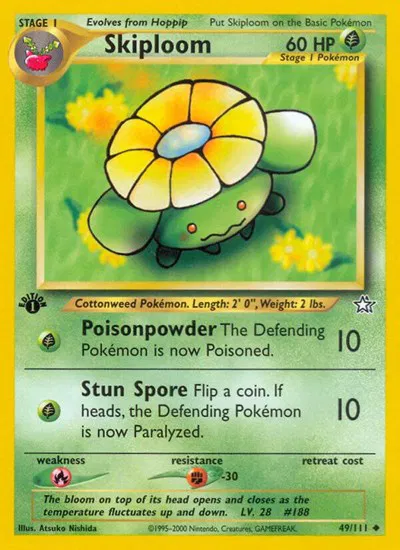 Skiploom 
