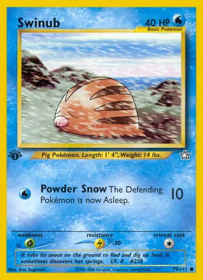 Swinub 