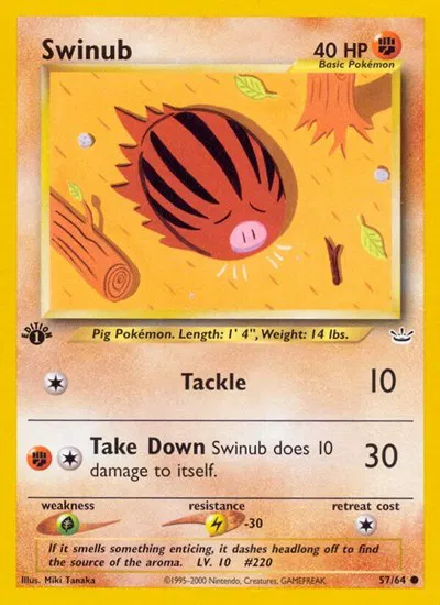 Swinub 