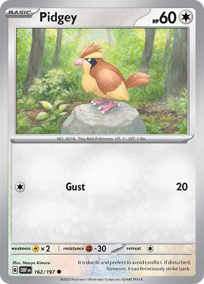 Pidgey 