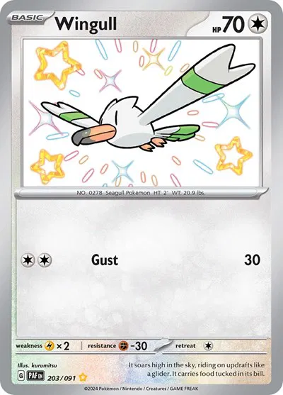 Wingull 