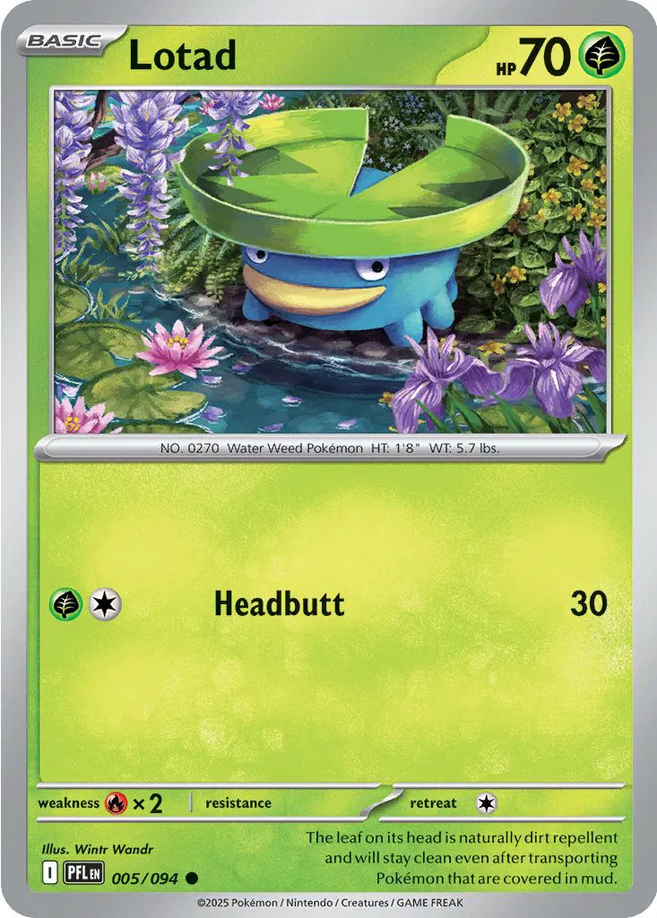 Lotad 