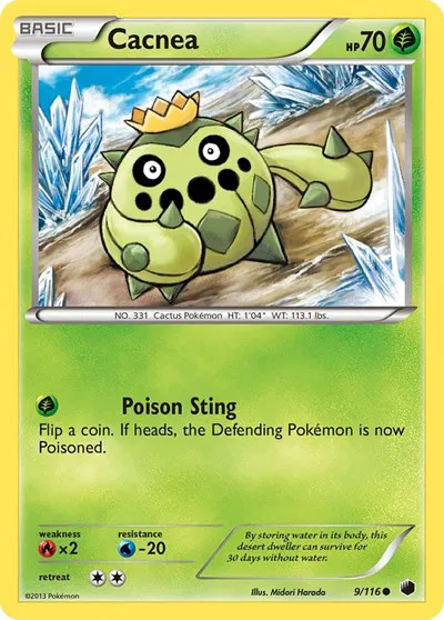 Cacnea 