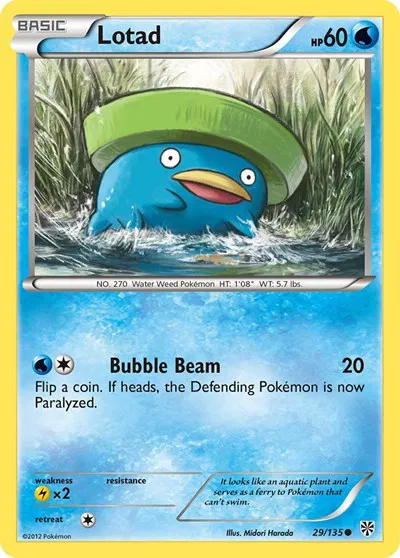 Lotad 