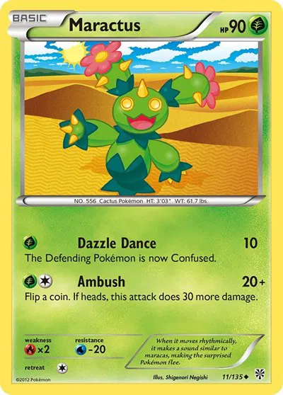 Maractus 