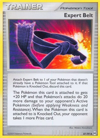 Expert Belt 
