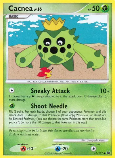 Cacnea 