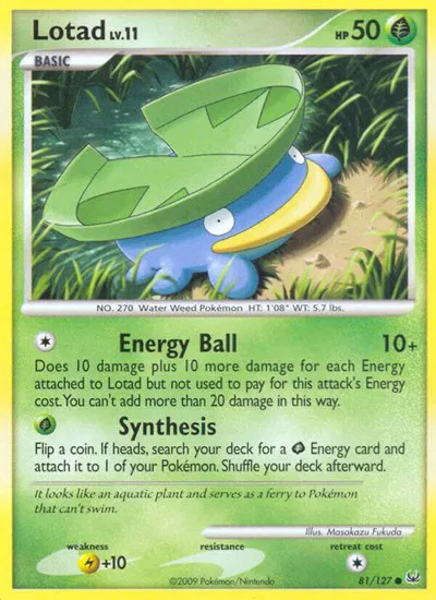 Lotad 