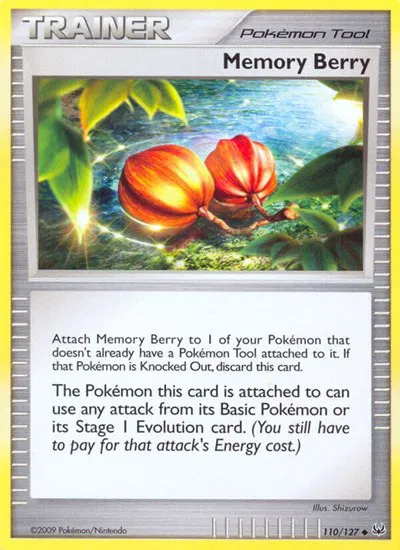 Memory Berry 
