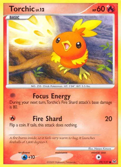 Torchic 