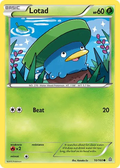Lotad 