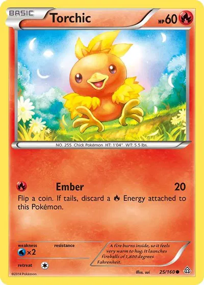 Torchic 