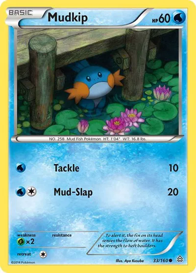 Mudkip 