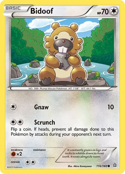 Bidoof 