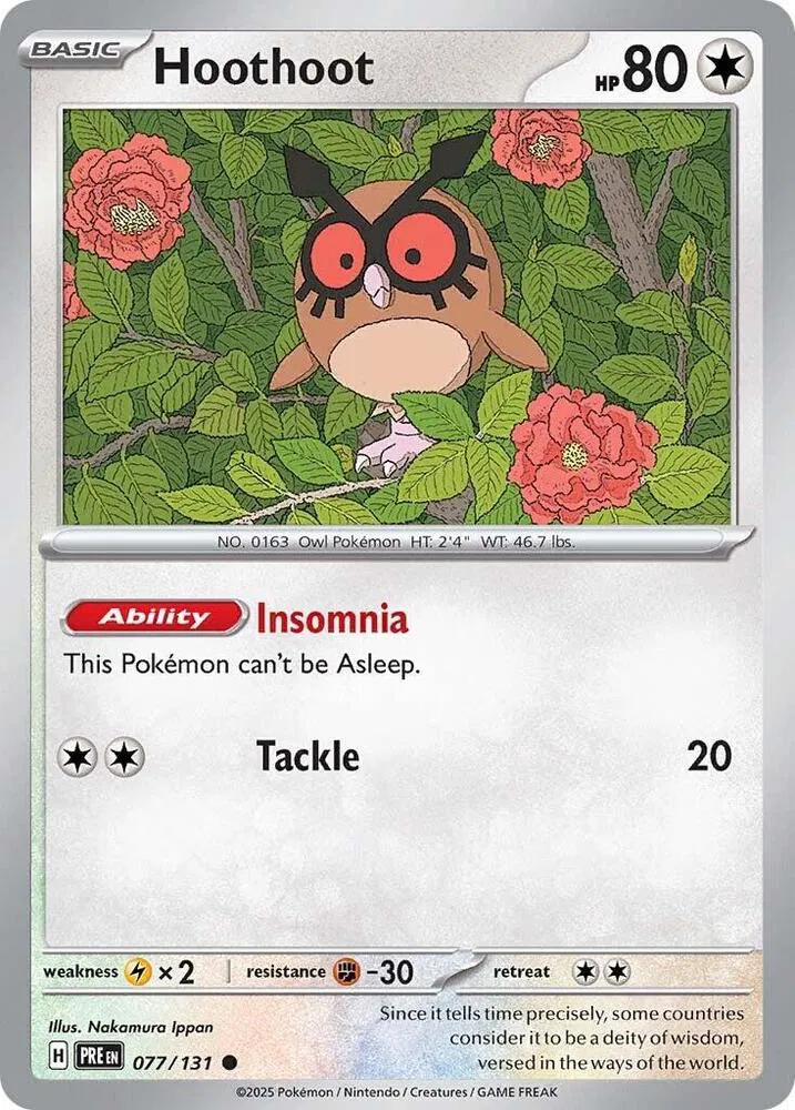 Hoothoot 