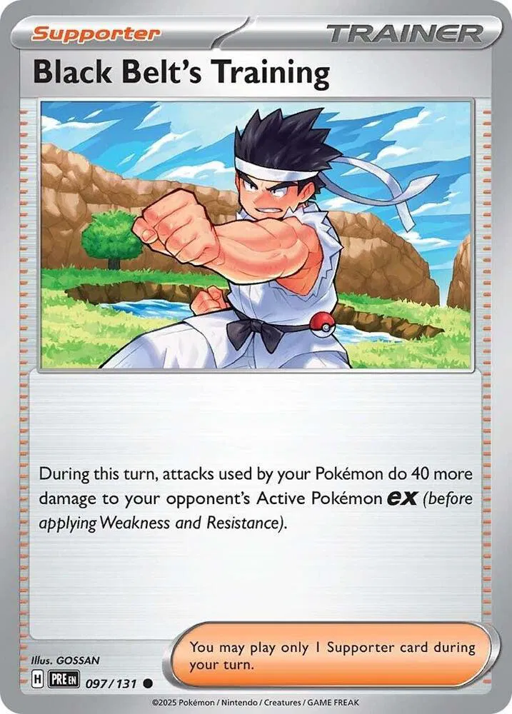 Black Belt's Training 