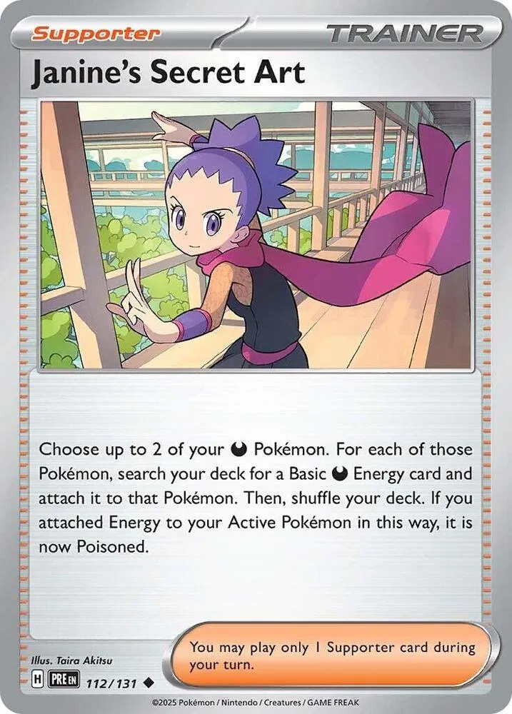 Janine's Secret Art 