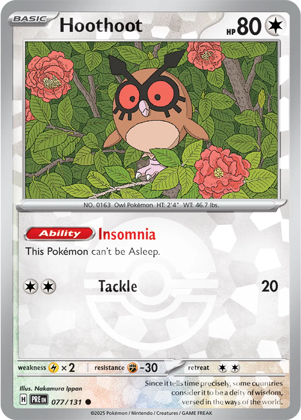 Hoothoot (Poke Ball Pattern) 