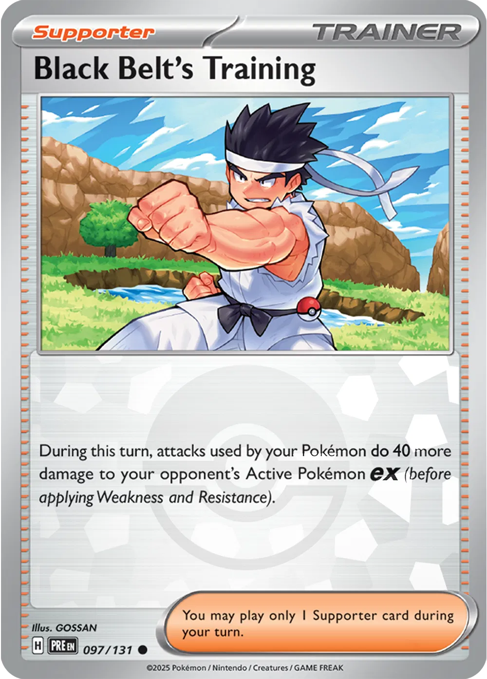 Black Belt's Training (Poke Ball Pattern) 