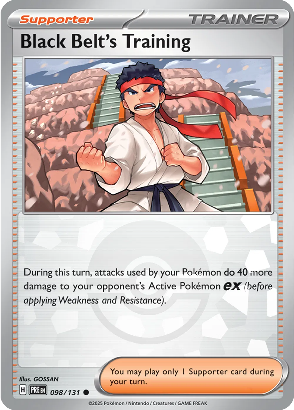 Black Belt's Training (Poke Ball Pattern) 
