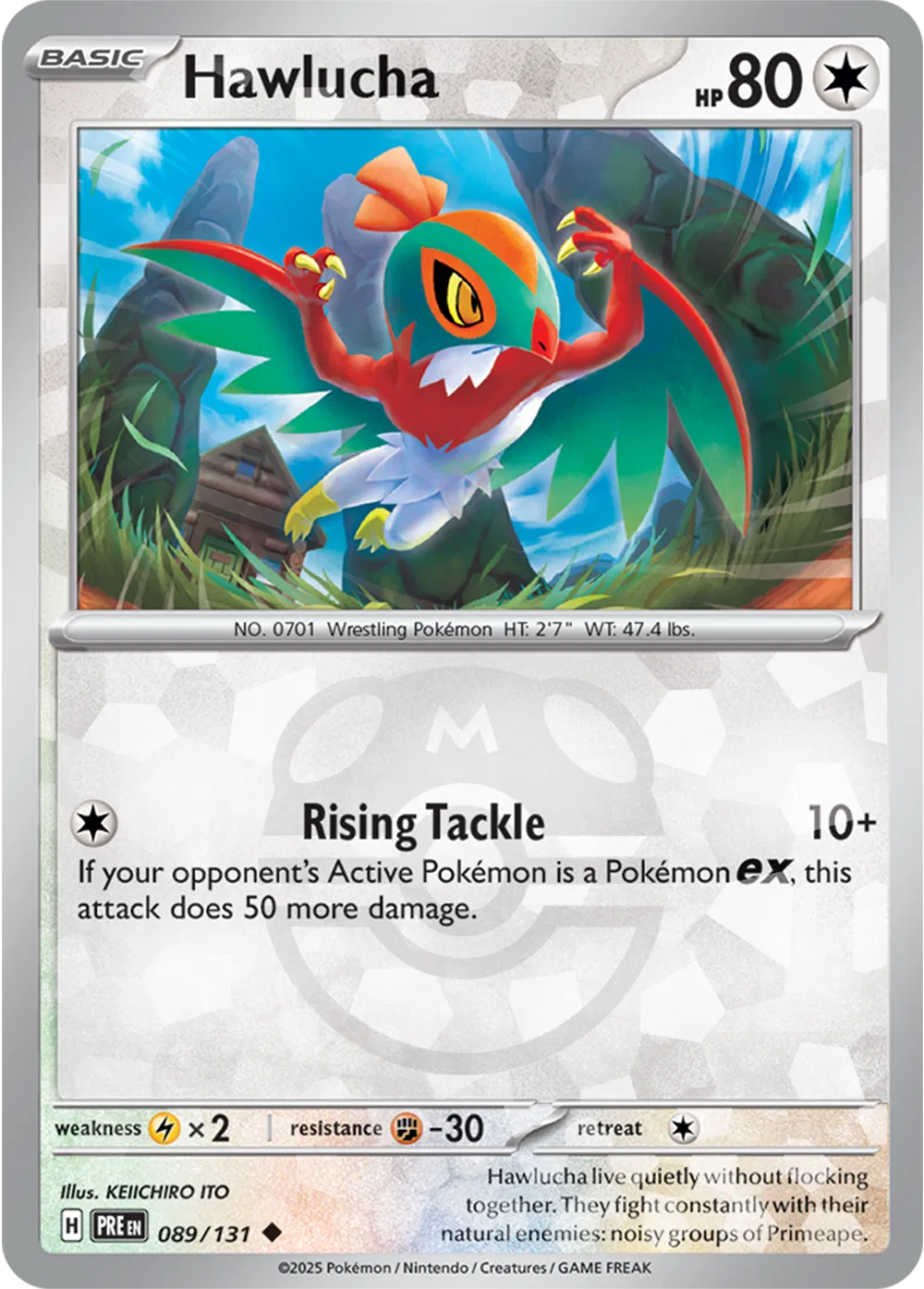 Hawlucha (Master Ball Pattern) 