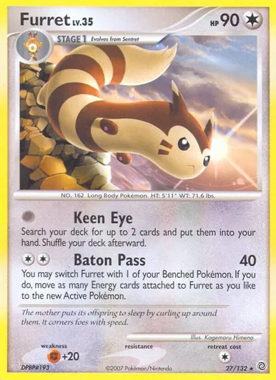 Furret 