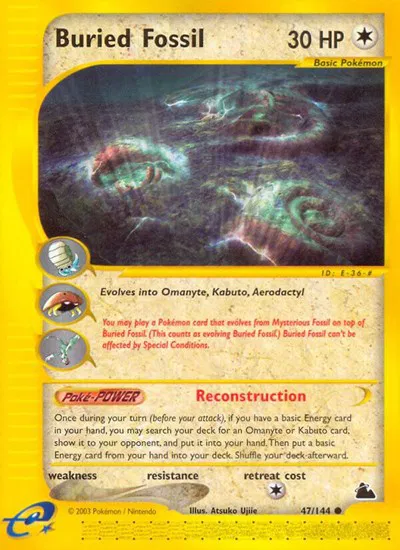 Buried Fossil 