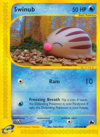 Swinub (107) 