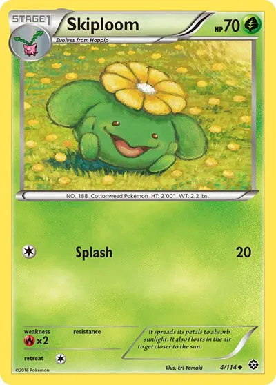 Skiploom 