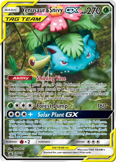 Venusaur & Snivy GX  