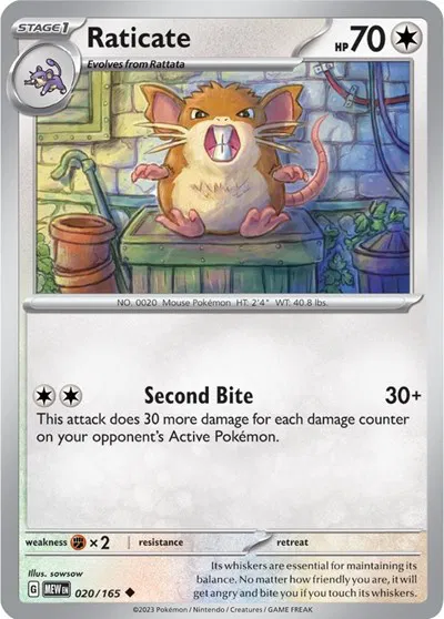 Raticate 