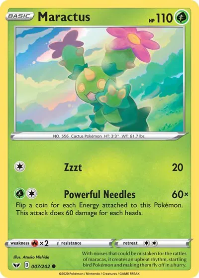 Maractus 