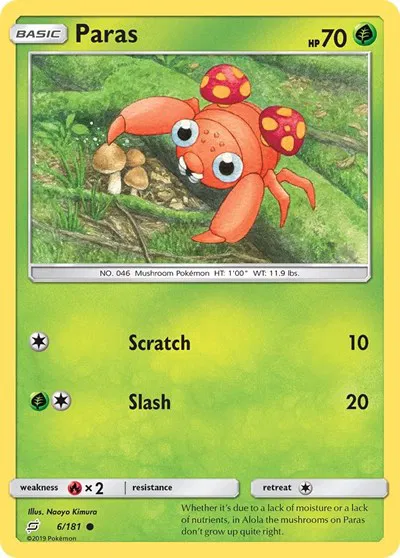 Paras 